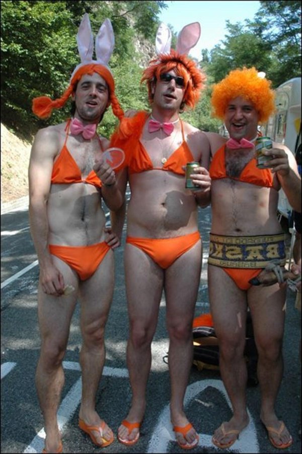 голландцы внешность