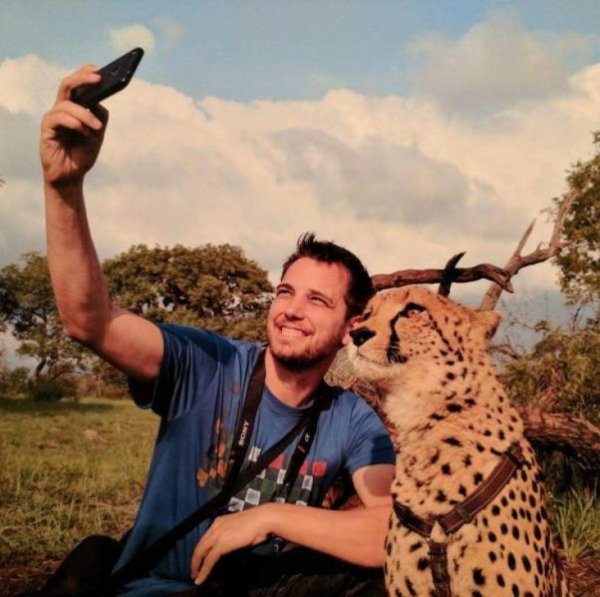 фотограф и гепард