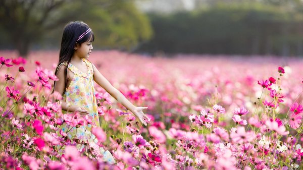 цветы девочке