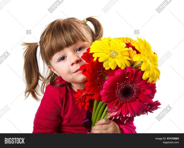 цветы девочке