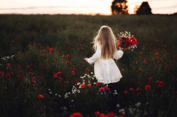 девочка собирает цветы