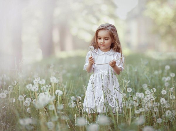 красивые дети природа