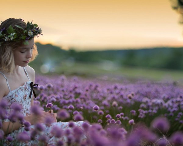 лавандовое поле фотосессия