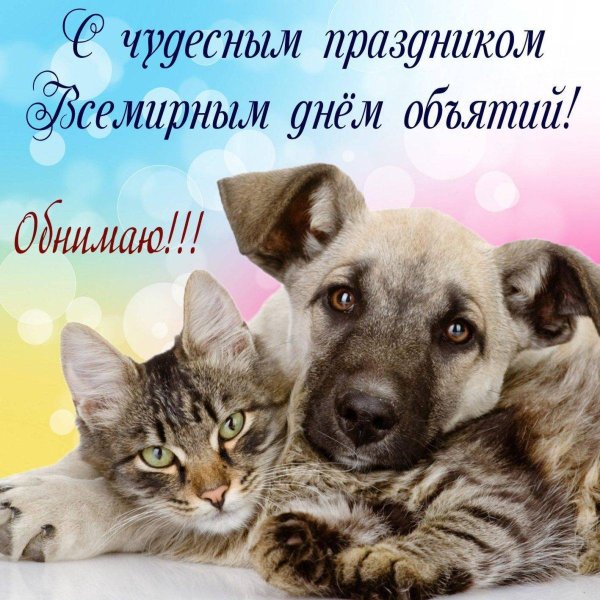 4 декабря международный день объятий