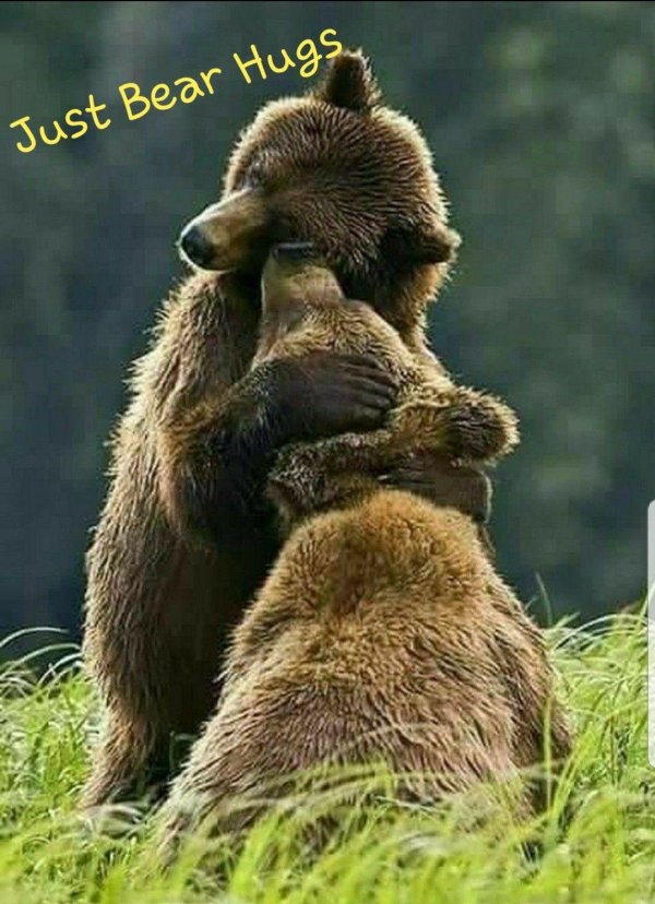медвежье объятие
