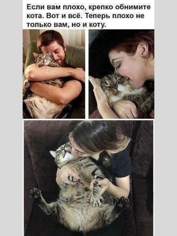 девушка обнимает кота