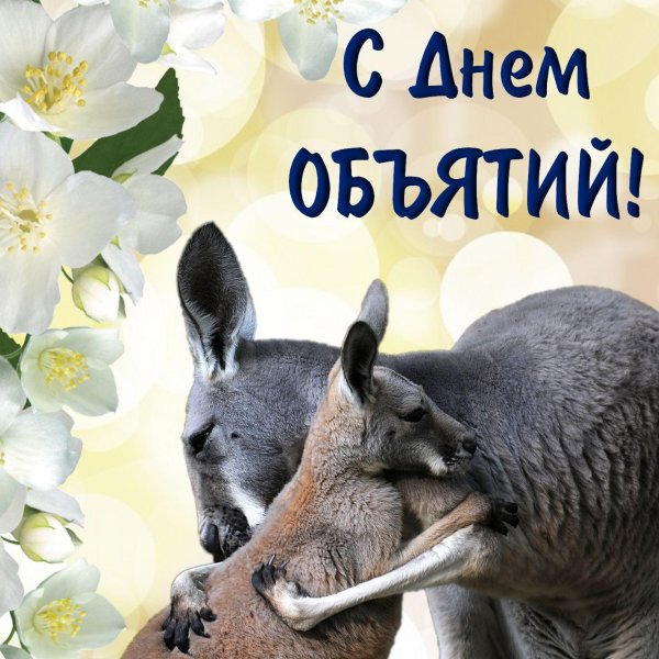 кенгуру с детенышем