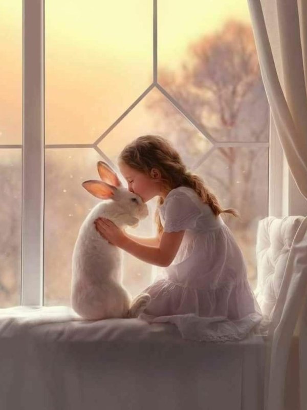 добрые иллюстрации