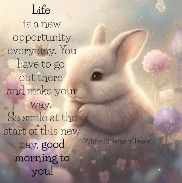 милота красота