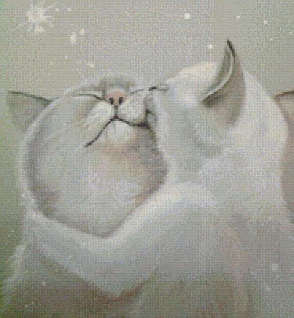 влюбленные коты