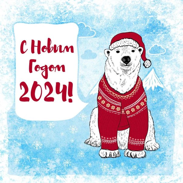 медведь в свитере