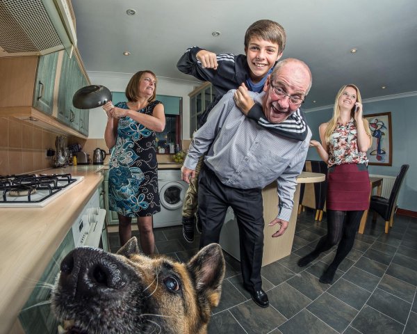 чокнутая семейка