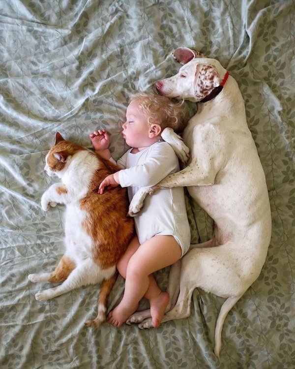 дети животные