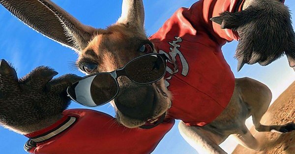 kangaroo jack