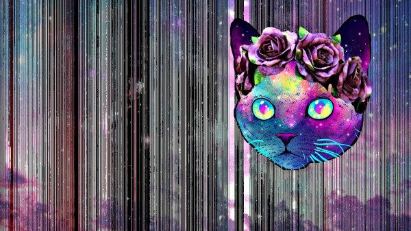 Супер прикольные