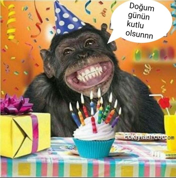 обезьяна смеется