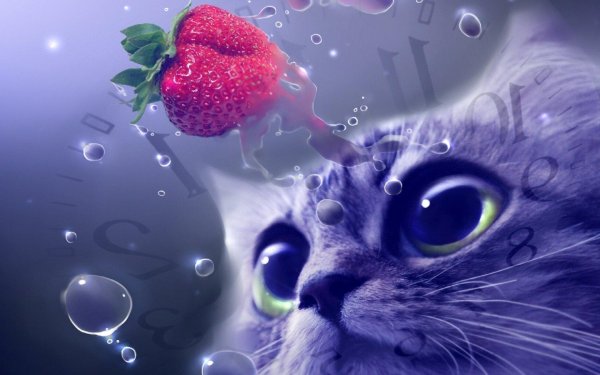 милые красивые котики