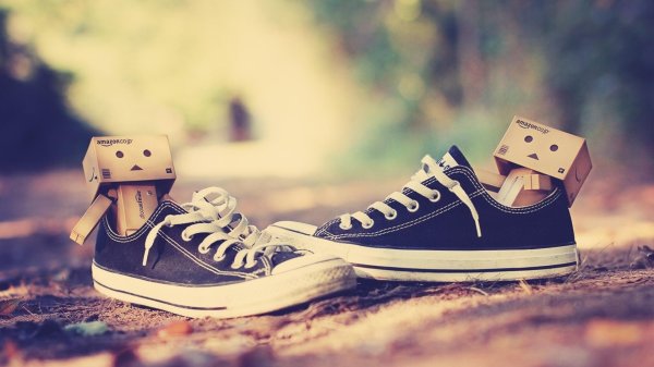 робот данбо