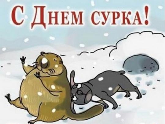 сурок смешной
