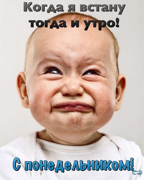 а завтра понедельник