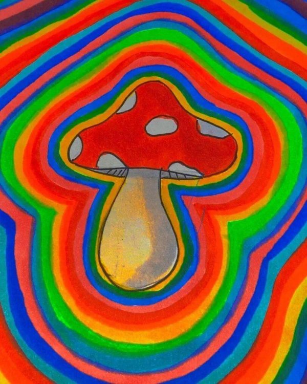 радужный гриб