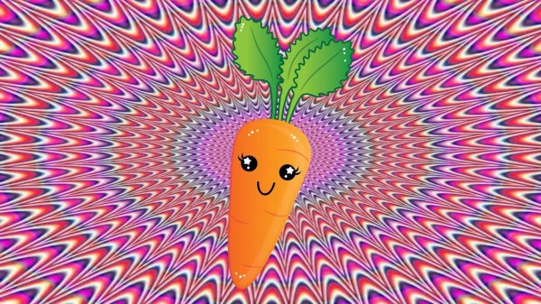 зрительная иллюзия