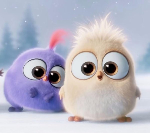 angry birds птенчики