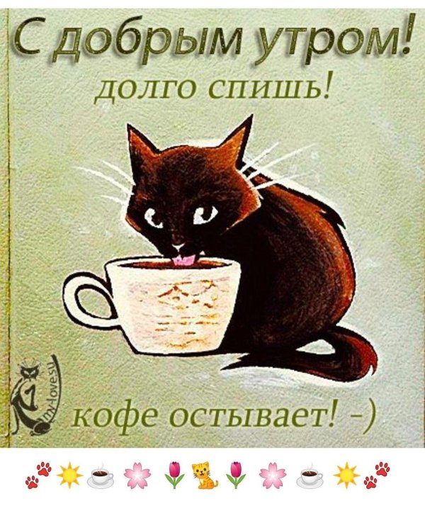 пожелания доброго утра прикольные