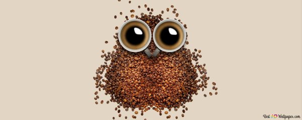 кофейная сова