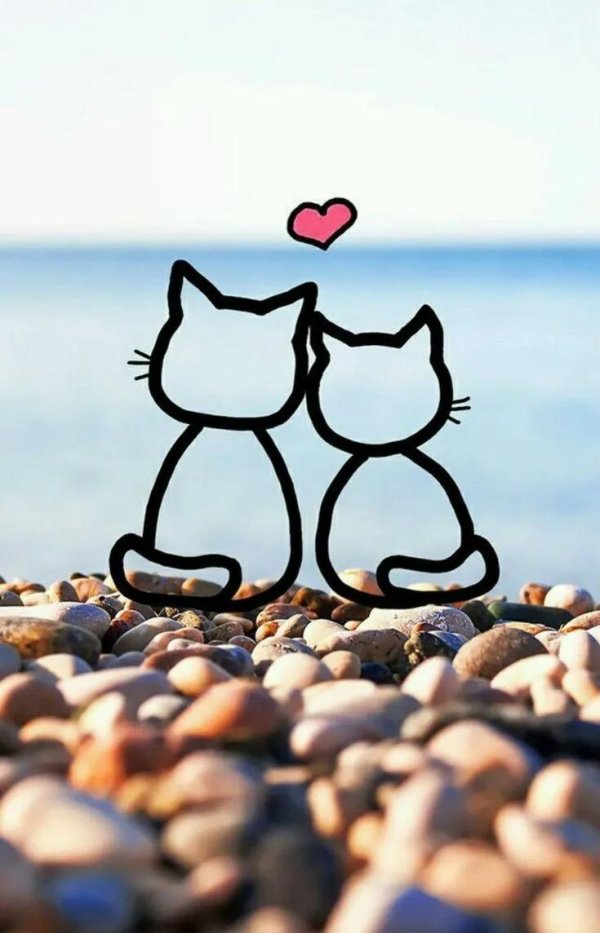 береги любовь