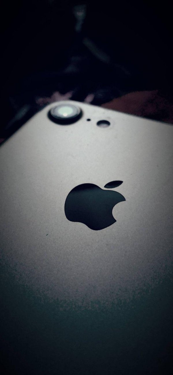 iphone 7 и iphone 7 plus