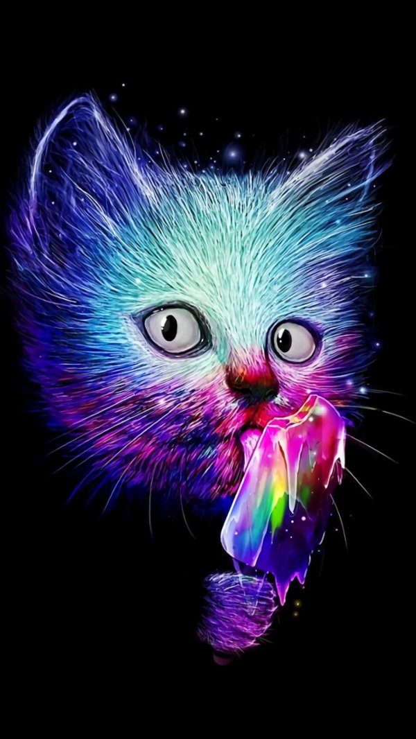 неоновая кошка