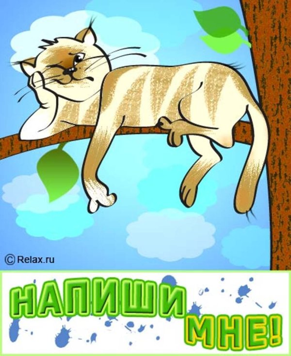 уставшая кошка рисунок