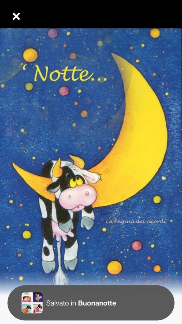 buonanotte buonanotte