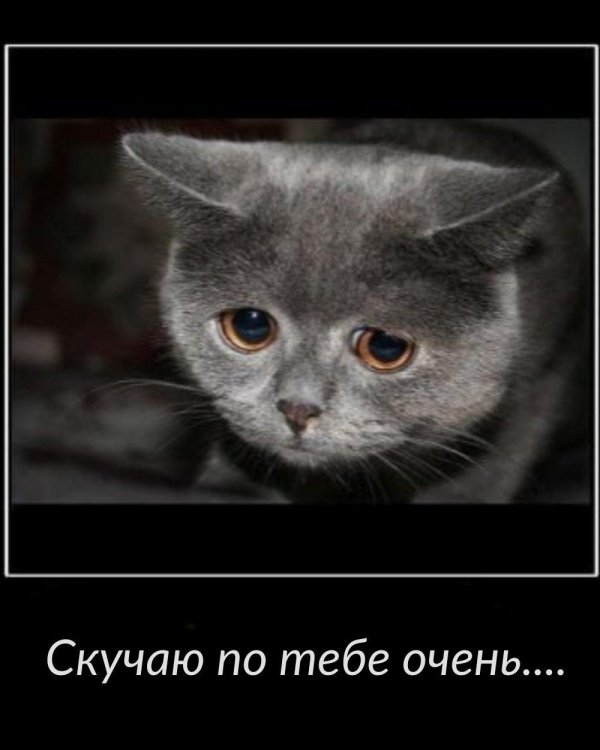 скучала по тебе