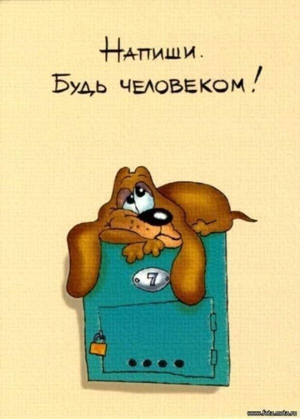 забавные открытки