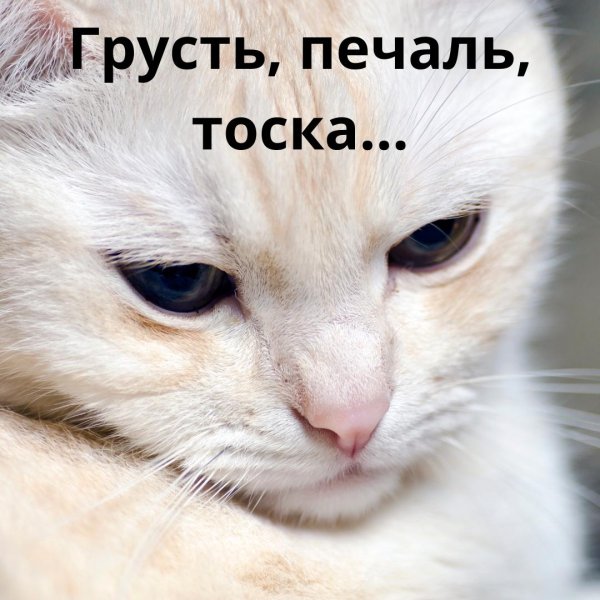 грусть печаль тоска