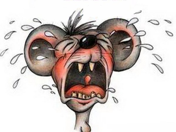 мультяшная мышь