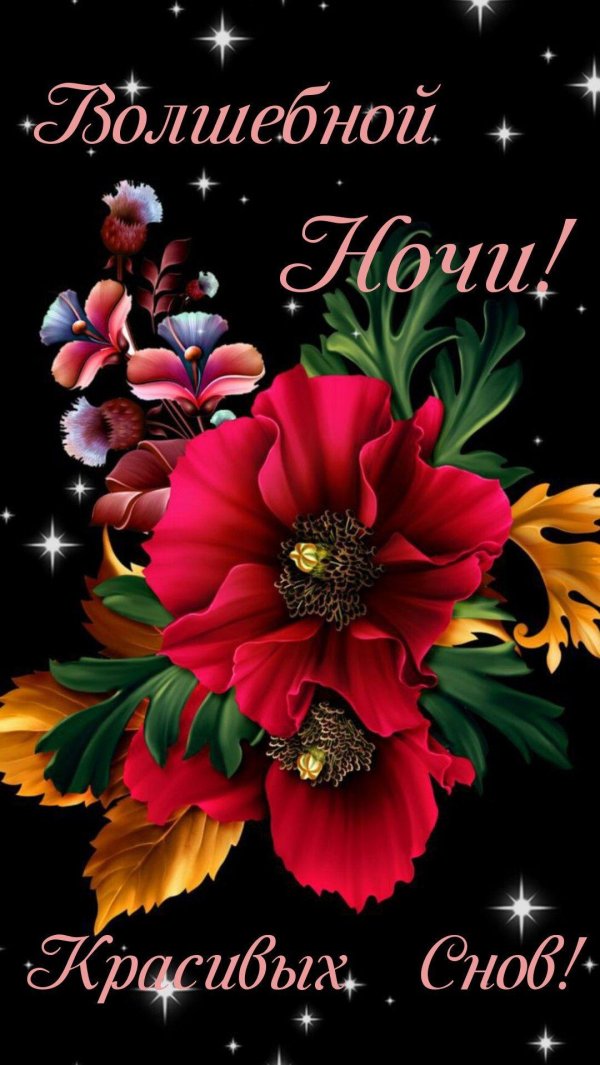 цветы barnali bagchi