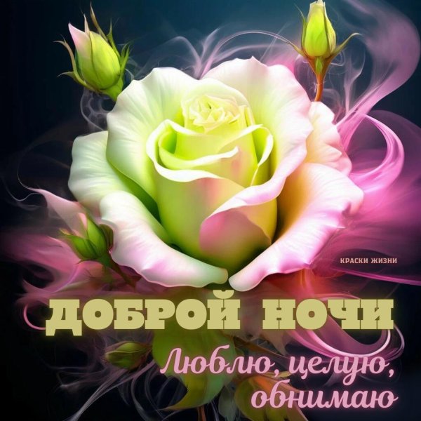 доброй ночи любимая