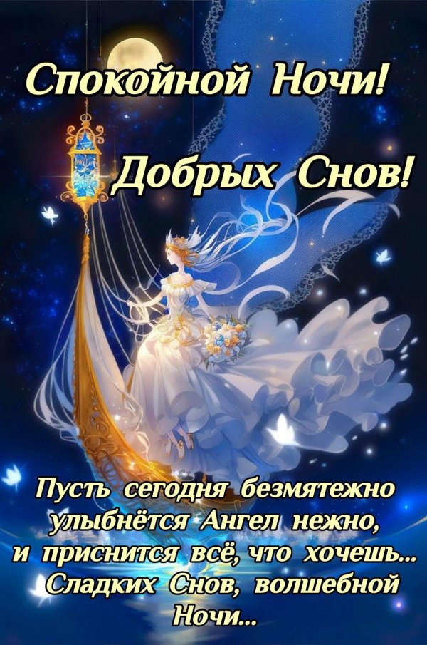доброй ночи добрый вечер
