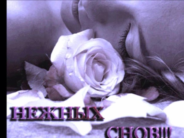 нежный сон