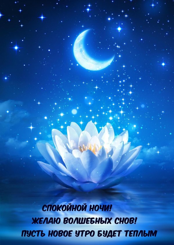спокойная ночи
