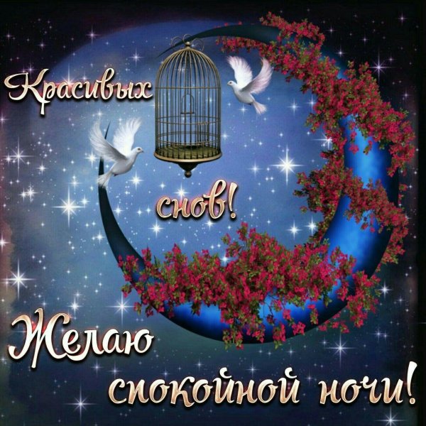 добрая ночь