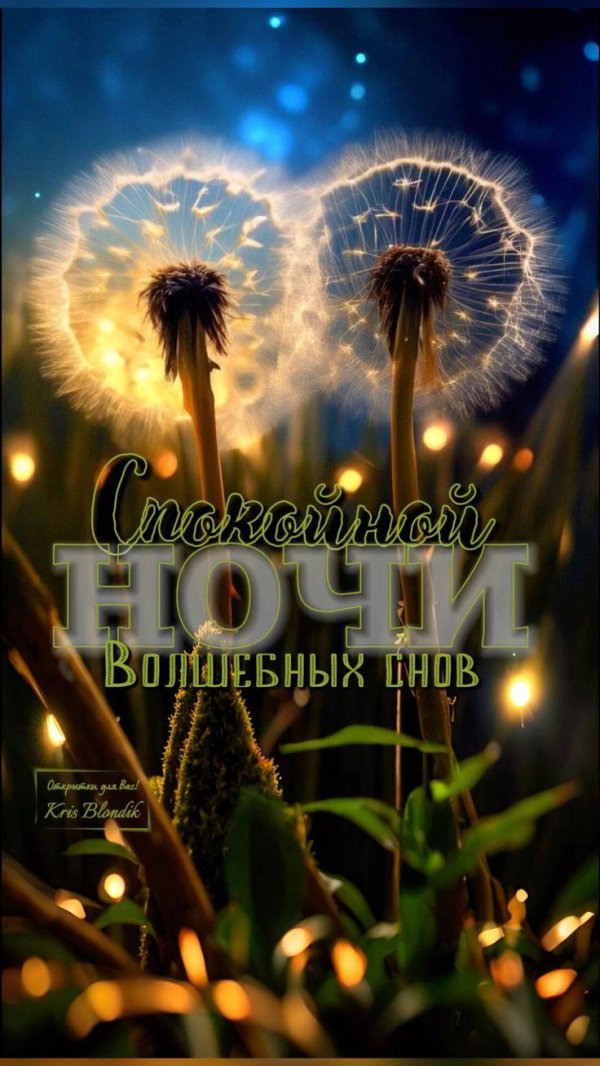 красивые одуванчики