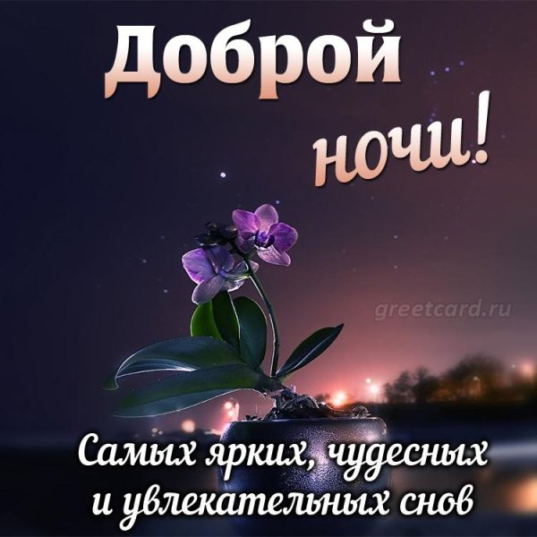 добрая ночь