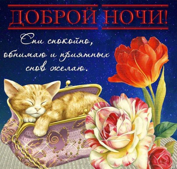 пожелания спокойной ночи