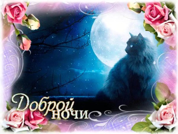 добрая ночь