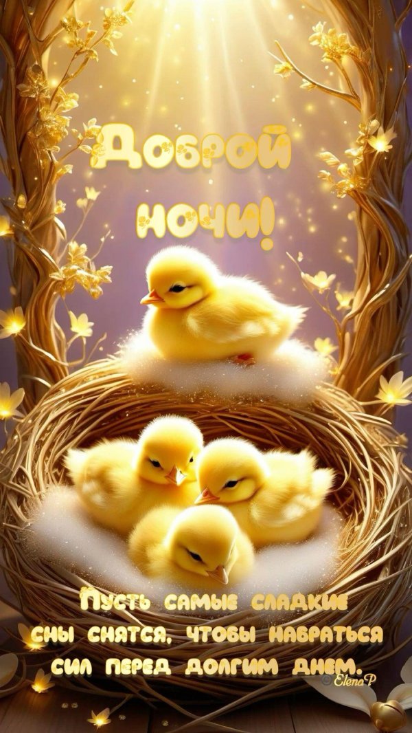 добрая ночь