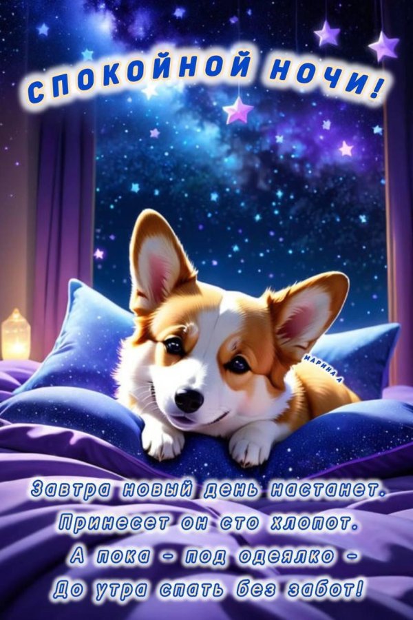 спокойной ночи собачка